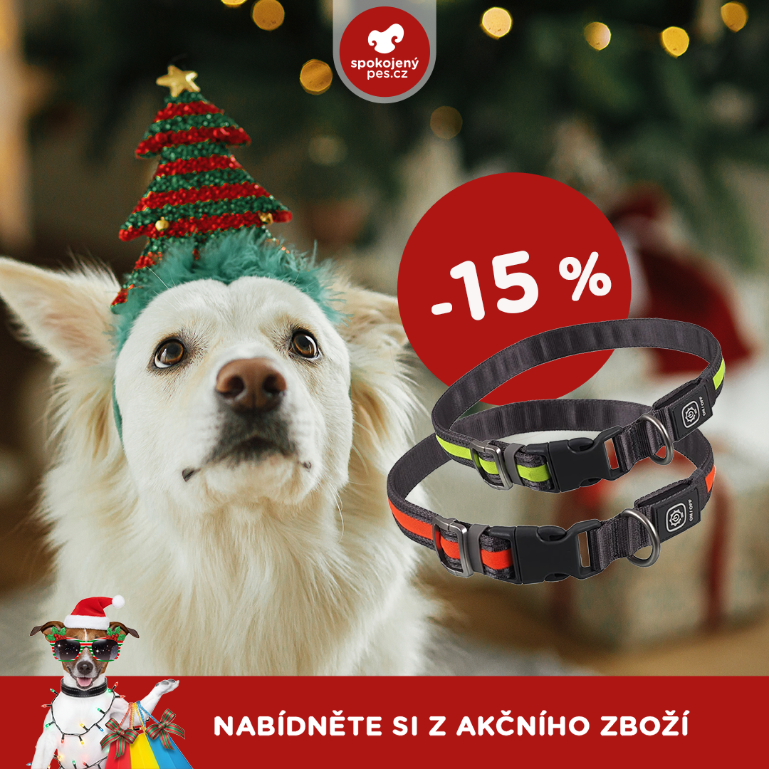 akční prosinec_pes8.png